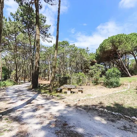 Nature With Private Pool By Homing Villa Sintra